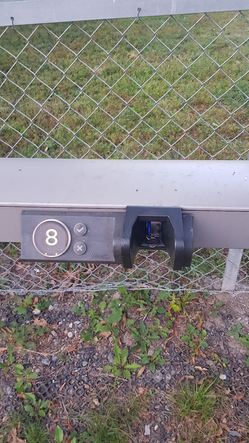 picture of the dongle